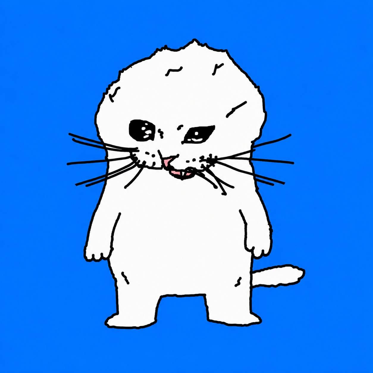 NGEK cat