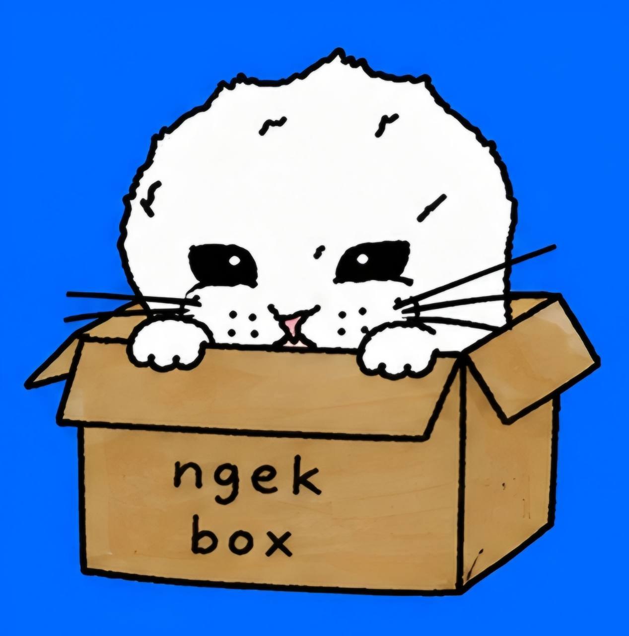 Ngek peeking from a box